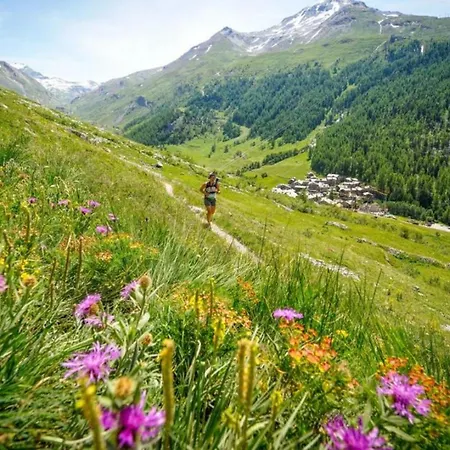 Apartman Arve - Peaks Retreat *